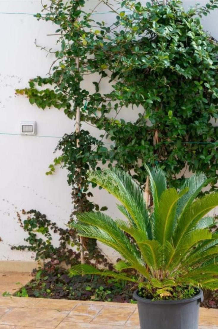 Ferienwohnung Aurora E Alba Casalabate Exterior foto